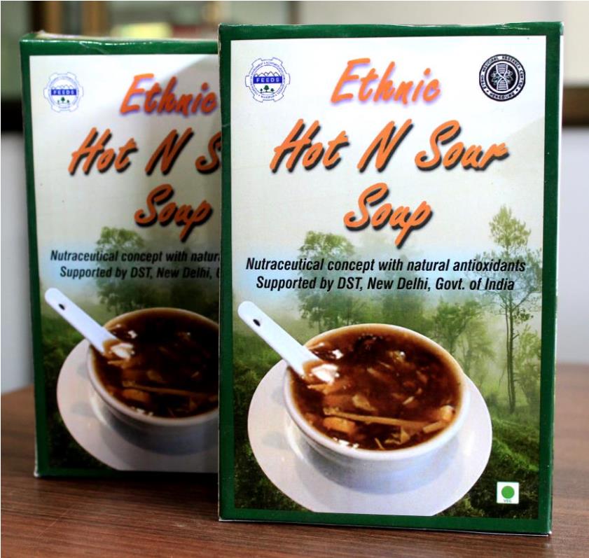 Ethnic Hot n Sour Soup