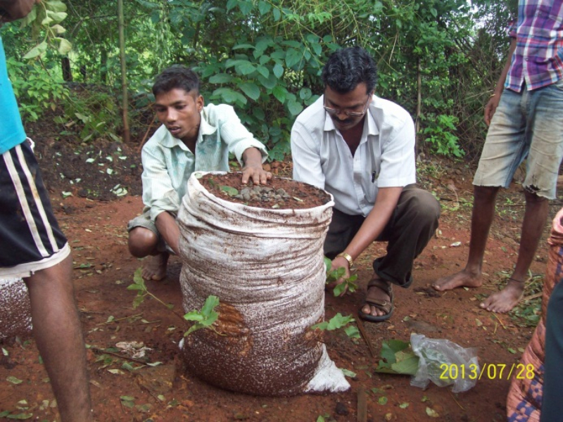 Vertical Bag Agriculture(2016)Phase I