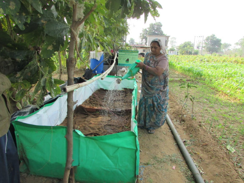 Biocompost /Vermiculture production technology using local business