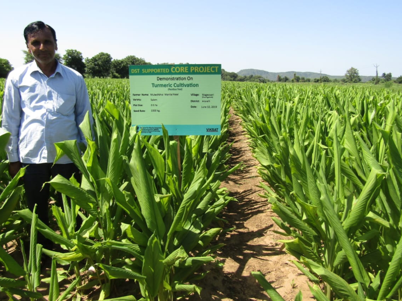 Production of Organic Turmeric and value addition on the harvested products