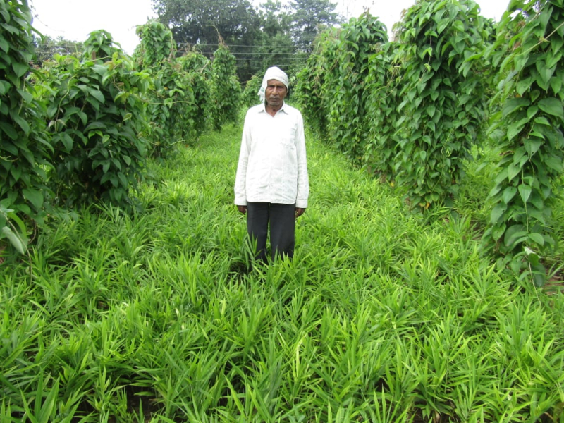 Integrated Farming System for better livelihood through participatory approach in Semi Arid area