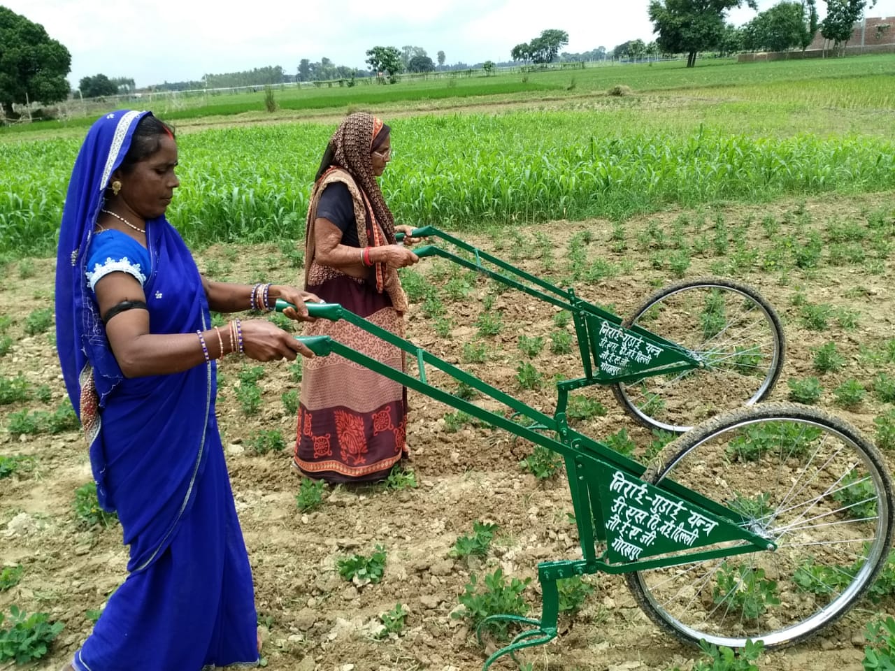 Weeding & hoeing tool