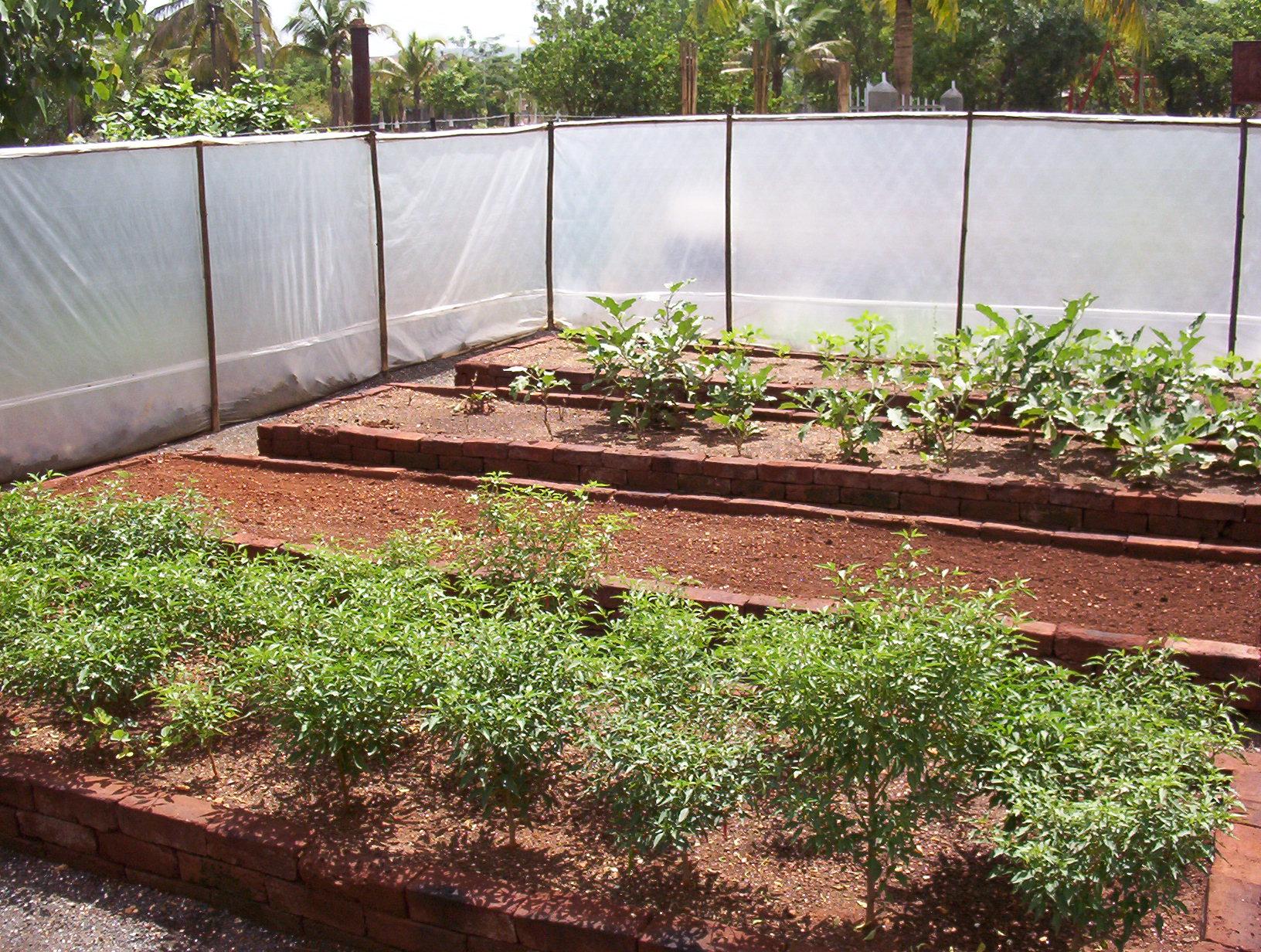 Farming on permanent raised beds 