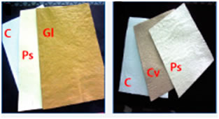 Hand made paper from alternate sources of fiber ( Biopulping and Biobleaching)(Phase I: 2009-14)