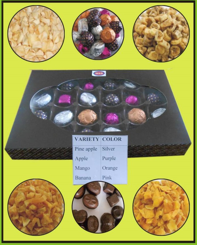 Development of Fruit Embedded Chocolates(2017)Phase II